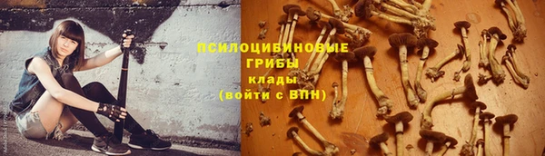 спиды Абаза