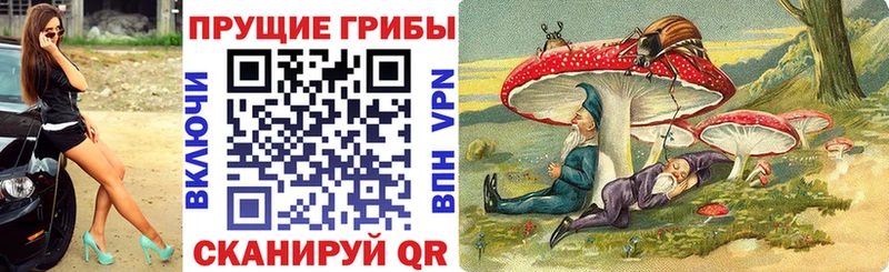 Псилоцибиновые грибы Cubensis KRAKEN ссылка Почеп